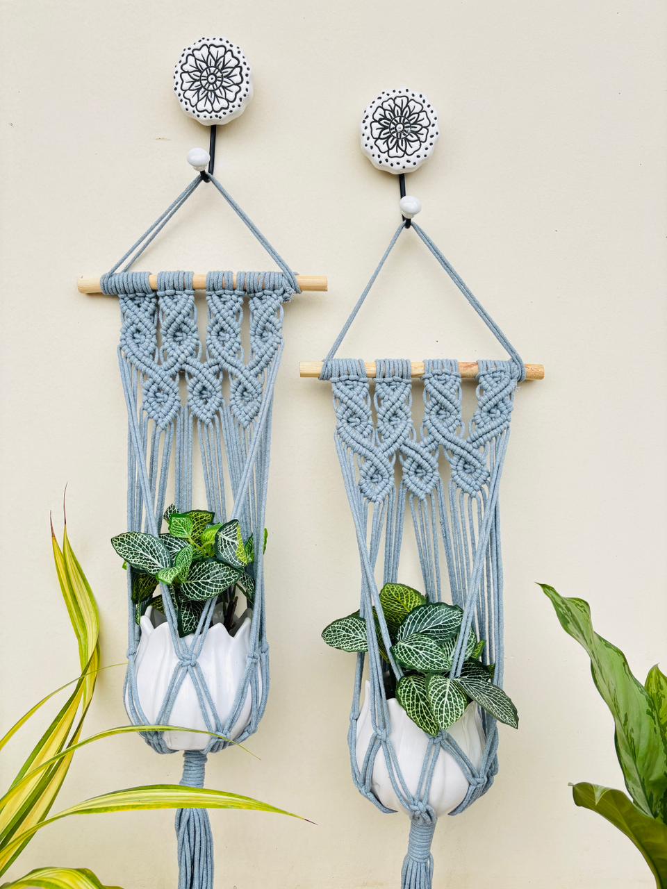 Planters & Hangers