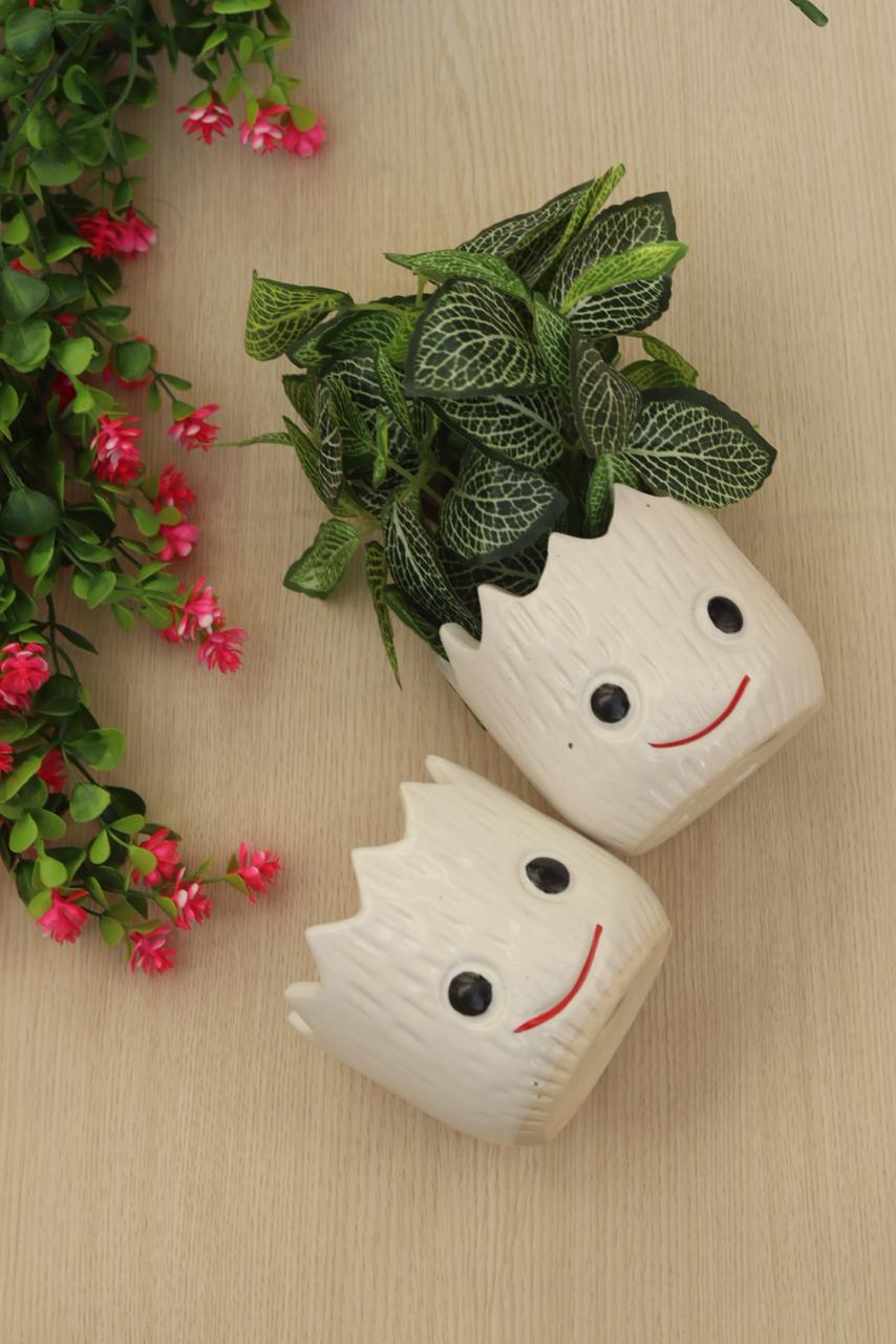 The Ceramic Collection