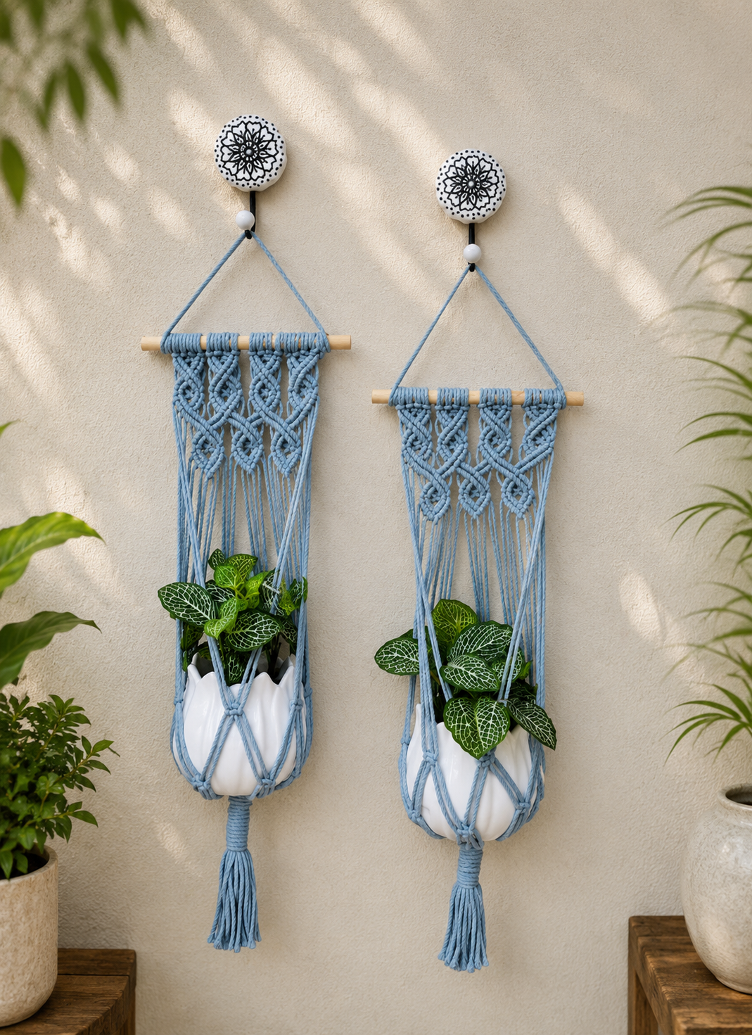 Quiet Corner Hanging Planter Set – DarkCloud