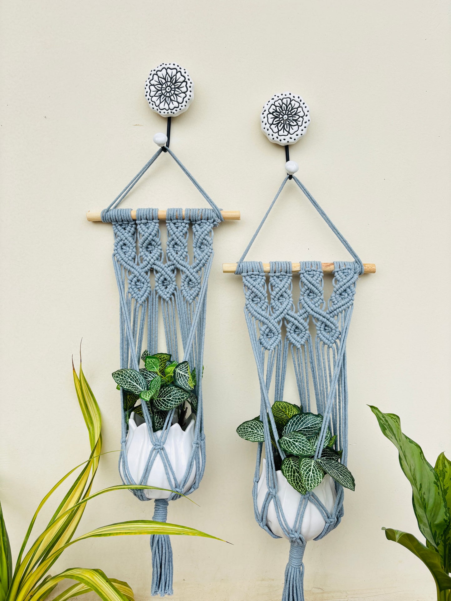 Quiet Corner Hanging Planter Set – DarkCloud