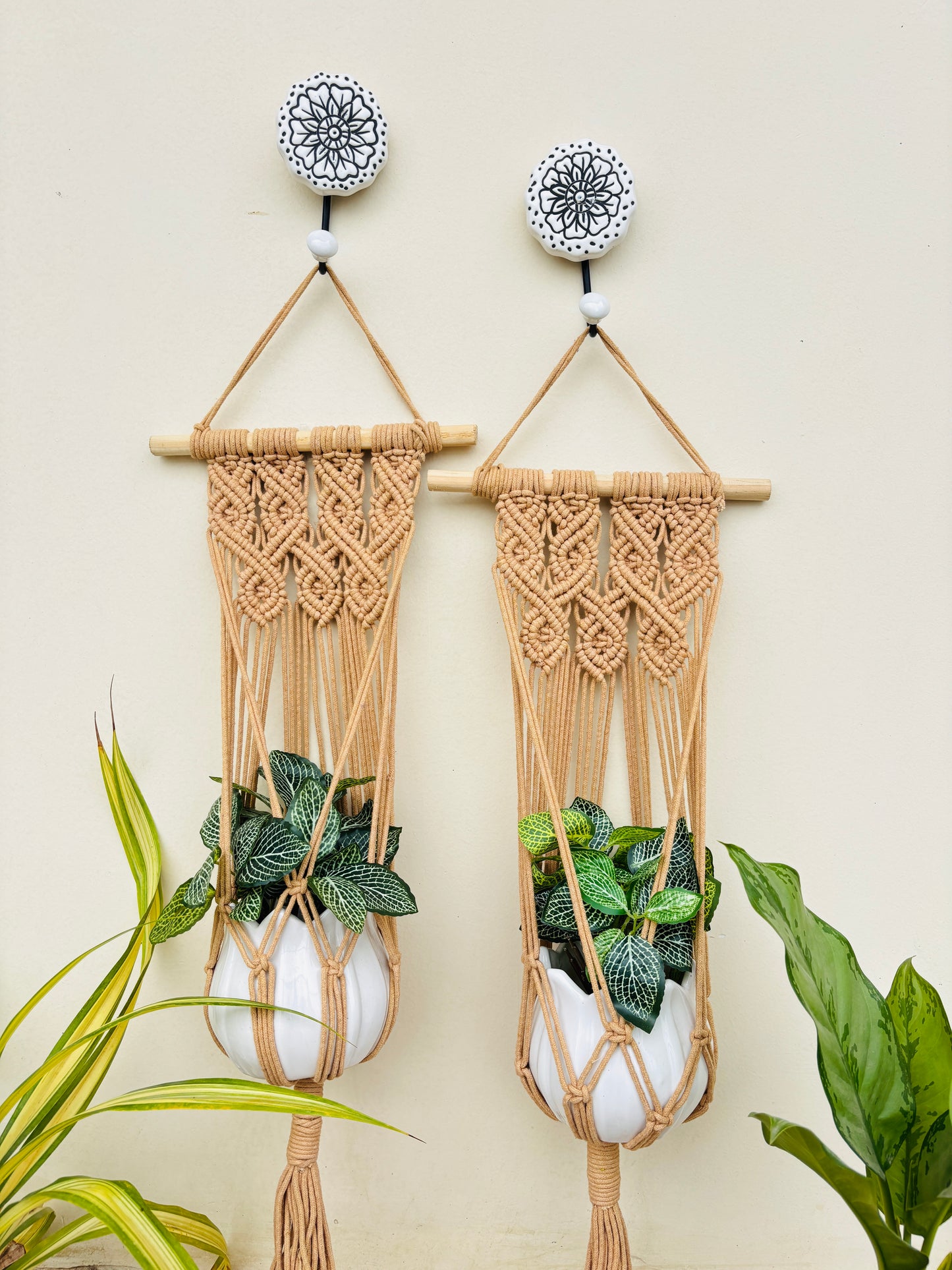 Quiet Corner Hanging Planter Set – HoneyBees