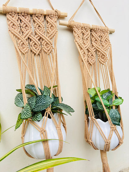 Quiet Corner Hanging Planter Set –  Caramel Brown