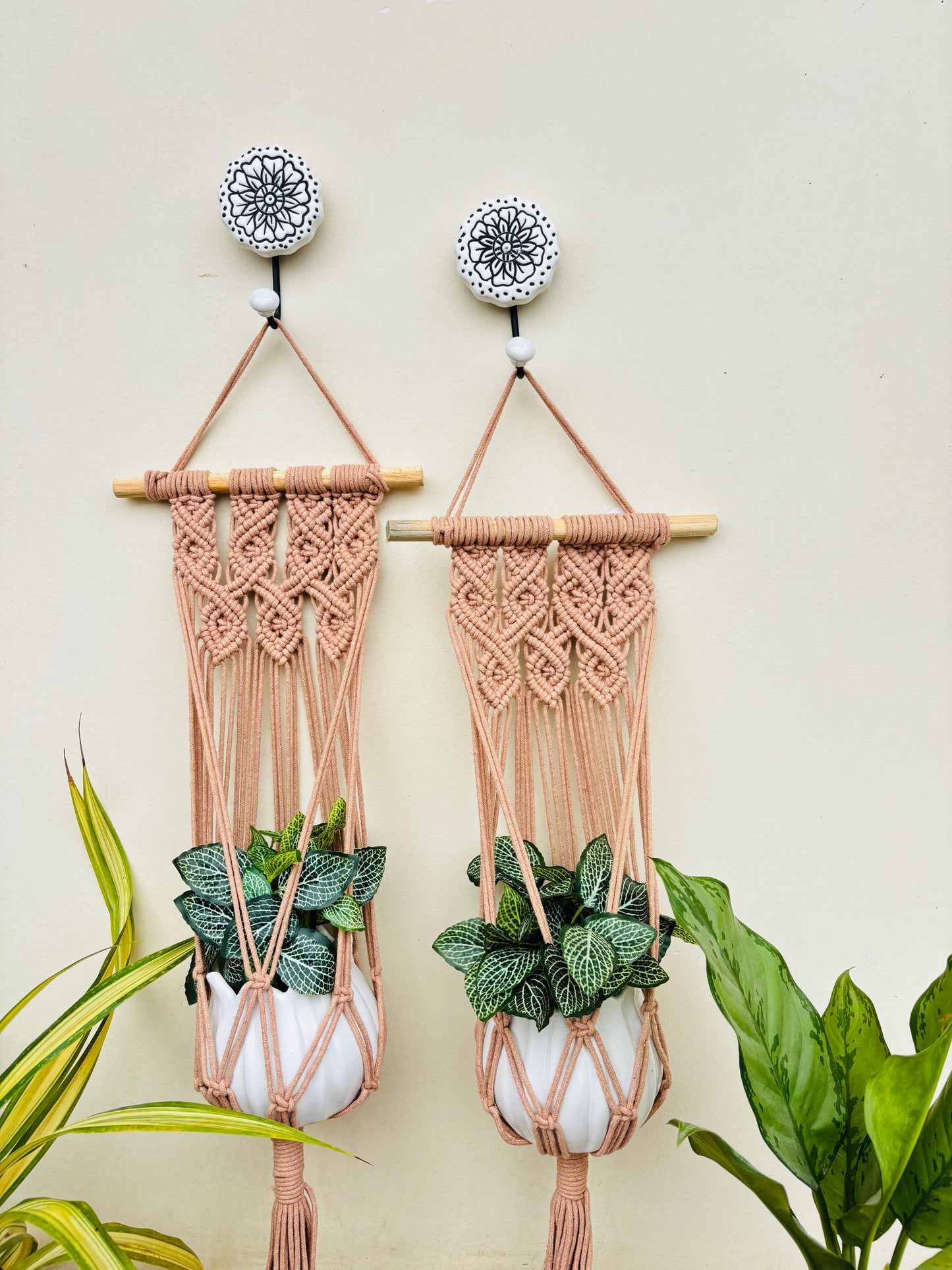 Quiet Corner Hanging Planter Set – HoneyBees