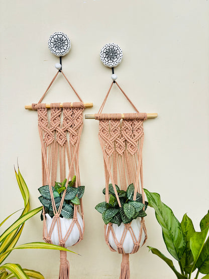Quiet Corner Hanging Planter Set – HoneyBees