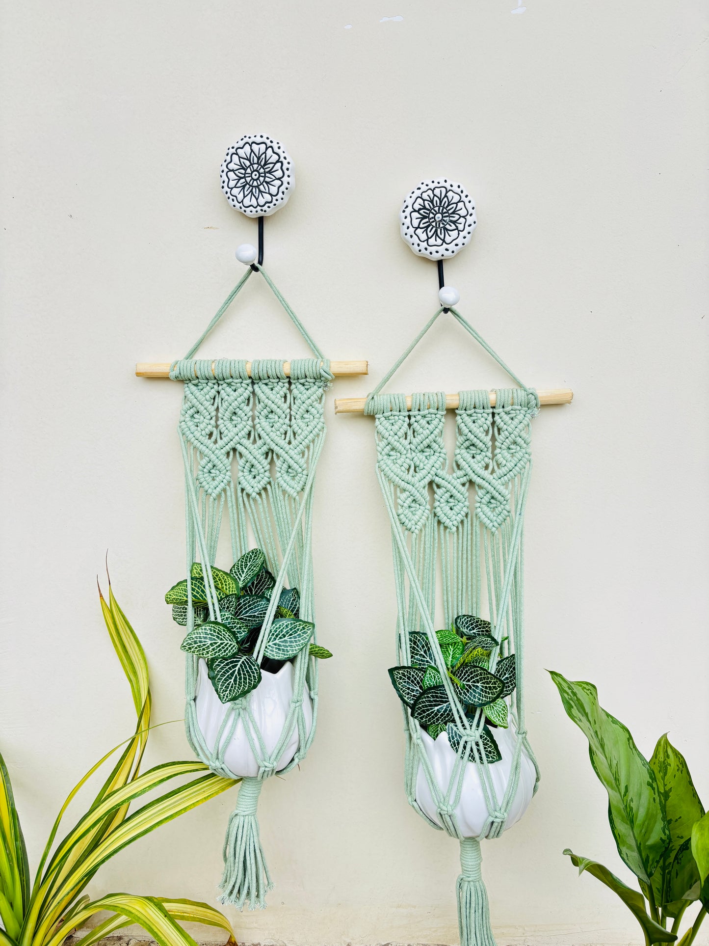 Quiet Corner Hanging Planter Set – Mint Green