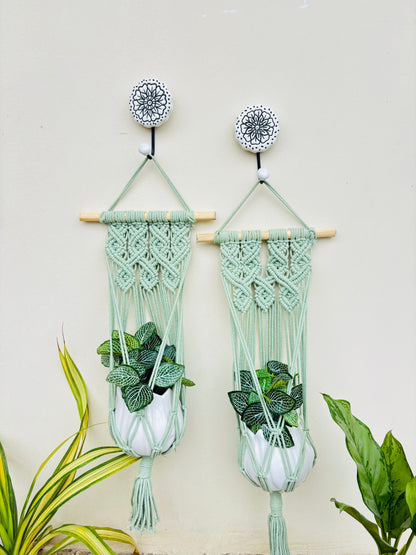 Quiet Corner Hanging Planter Set – Mint Green