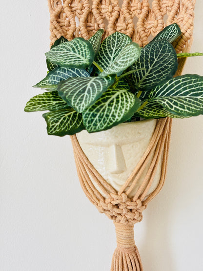 Peace Knot Planter Hanger Set – Caramel Brown