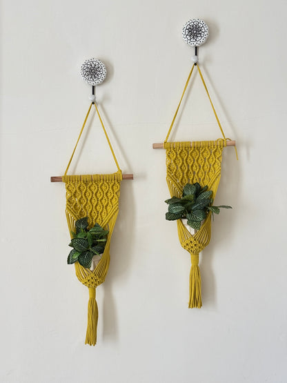 Peace Knot Planter Hanger Set – Sunflower Yellow set