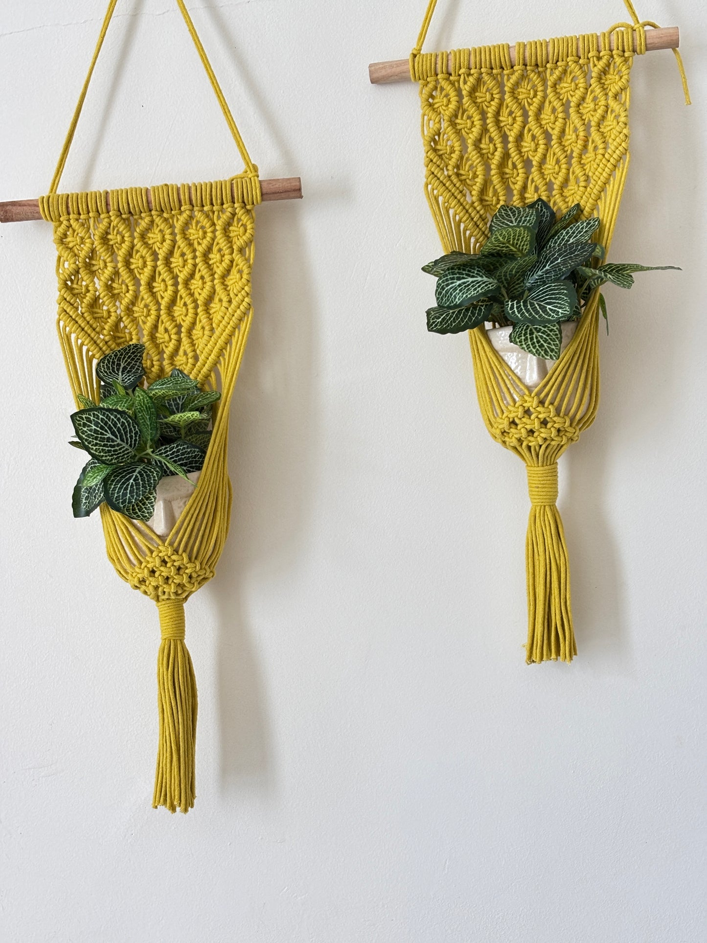 Peace Knot Planter Hanger Set – Sunflower Yellow set
