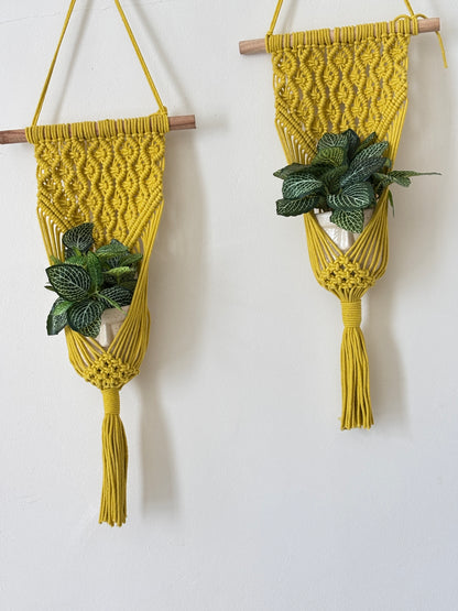 Peace Knot Planter Hanger Set – Sunflower Yellow set